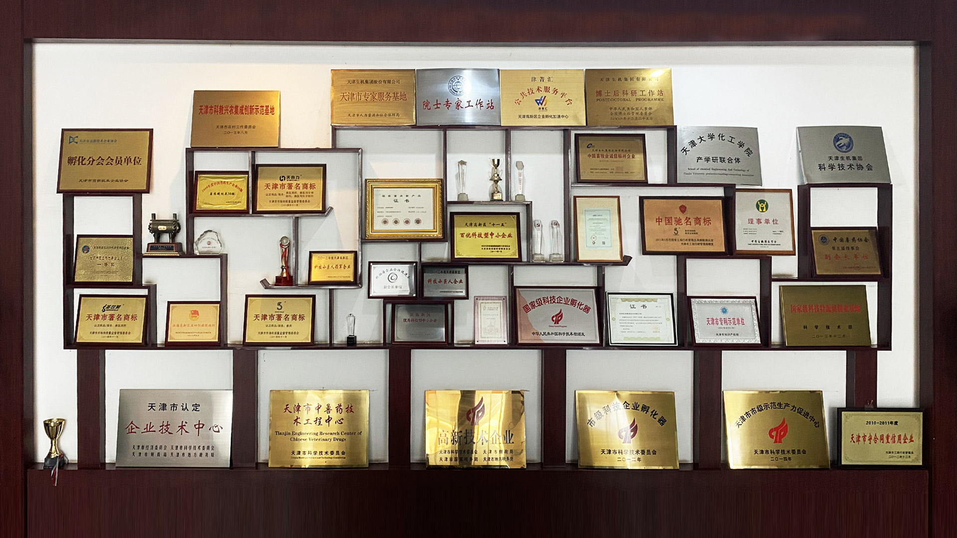 讓生機(jī)人成功快樂(lè)、讓生機(jī)集團(tuán)走向卓越是生機(jī)的使命